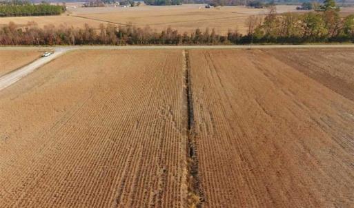 Photo of SOLD!!  42.75 Acres of Farm and Timber Land For Sale in Craven County NC!