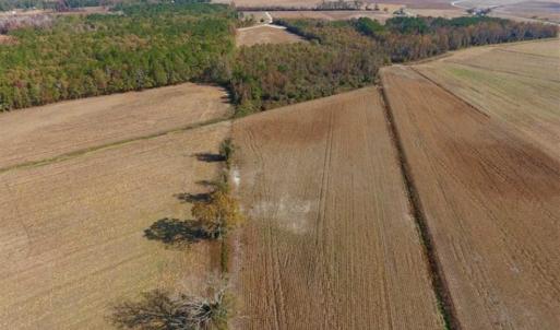 Photo of SOLD!!  42.75 Acres of Farm and Timber Land For Sale in Craven County NC!