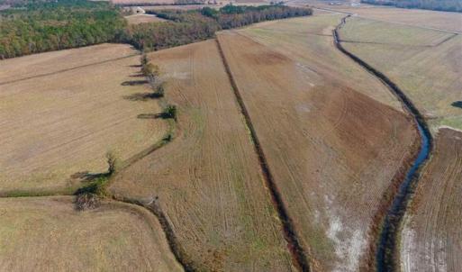 Photo of SOLD!!  42.75 Acres of Farm and Timber Land For Sale in Craven County NC!