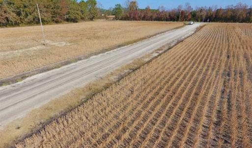 Photo of SOLD!!  42.75 Acres of Farm and Timber Land For Sale in Craven County NC!