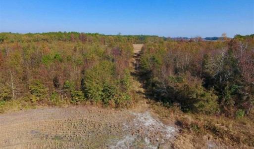 Photo of SOLD!!  42.75 Acres of Farm and Timber Land For Sale in Craven County NC!