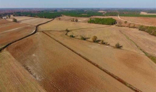 Photo of SOLD!!  42.75 Acres of Farm and Timber Land For Sale in Craven County NC!