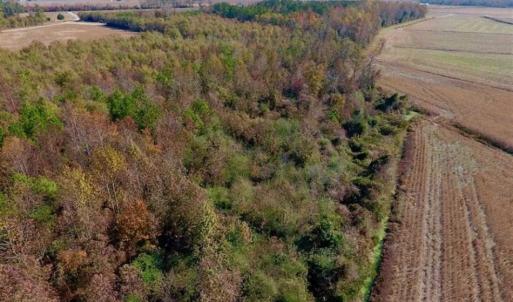Photo of SOLD!!  42.75 Acres of Farm and Timber Land For Sale in Craven County NC!