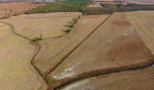 Photo of SOLD!!  42.75 Acres of Farm and Timber Land For Sale in Craven County NC!