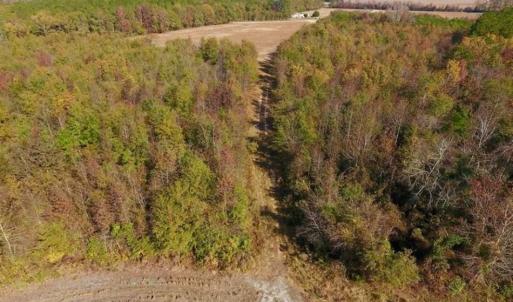 Photo of SOLD!!  42.75 Acres of Farm and Timber Land For Sale in Craven County NC!