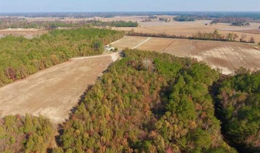 Photo of SOLD!!  42.75 Acres of Farm and Timber Land For Sale in Craven County NC!
