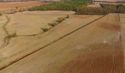 Photo of SOLD!!  42.75 Acres of Farm and Timber Land For Sale in Craven County NC!
