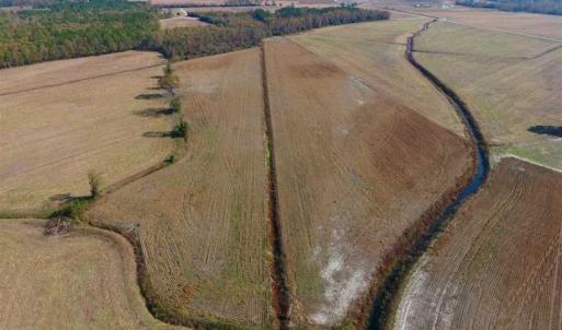 Photo of SOLD!!  42.75 Acres of Farm and Timber Land For Sale in Craven County NC!