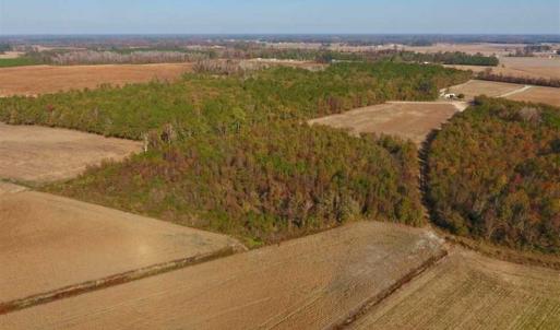 Photo of SOLD!!  42.75 Acres of Farm and Timber Land For Sale in Craven County NC!