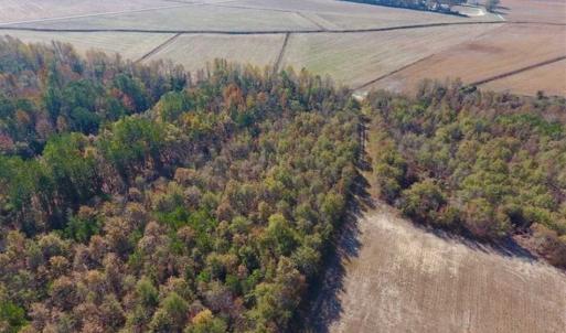 Photo of SOLD!!  42.75 Acres of Farm and Timber Land For Sale in Craven County NC!