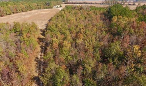 Photo of SOLD!!  42.75 Acres of Farm and Timber Land For Sale in Craven County NC!
