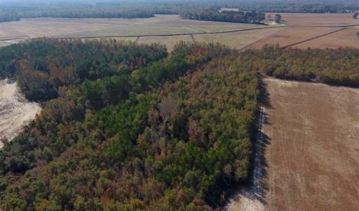 Photo of SOLD!!  42.75 Acres of Farm and Timber Land For Sale in Craven County NC!