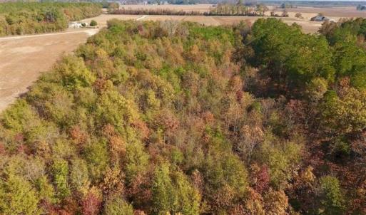 Photo of SOLD!!  42.75 Acres of Farm and Timber Land For Sale in Craven County NC!