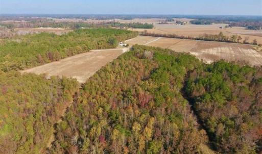 Photo of SOLD!!  42.75 Acres of Farm and Timber Land For Sale in Craven County NC!