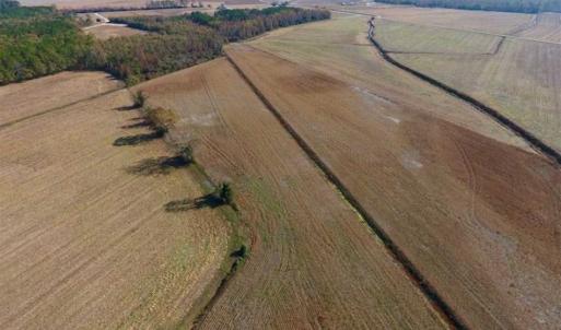 Photo of SOLD!!  42.75 Acres of Farm and Timber Land For Sale in Craven County NC!