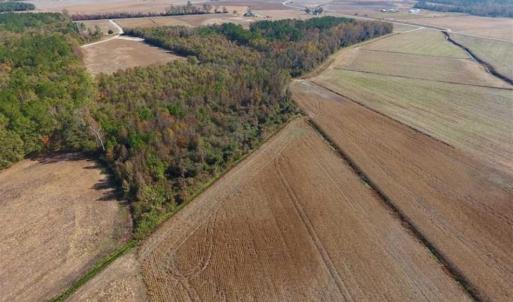 Photo of SOLD!!  42.75 Acres of Farm and Timber Land For Sale in Craven County NC!