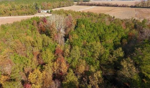 Photo of SOLD!!  42.75 Acres of Farm and Timber Land For Sale in Craven County NC!
