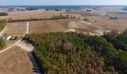 Photo of SOLD!!  42.75 Acres of Farm and Timber Land For Sale in Craven County NC!