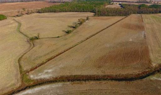 Photo of SOLD!!  42.75 Acres of Farm and Timber Land For Sale in Craven County NC!