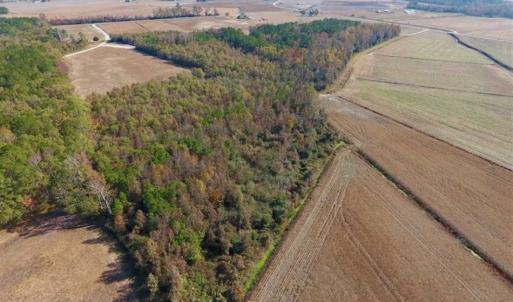 Photo of SOLD!!  42.75 Acres of Farm and Timber Land For Sale in Craven County NC!