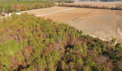 Photo of SOLD!!  42.75 Acres of Farm and Timber Land For Sale in Craven County NC!