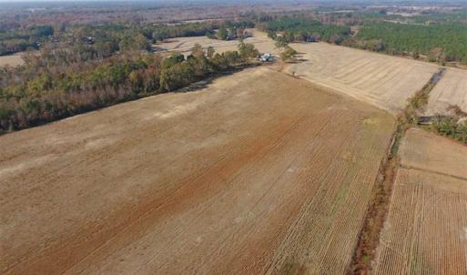 Photo of UNDER CONTRACT!!  38.21 Acres of Farm Land For Sale in Craven County NC!
