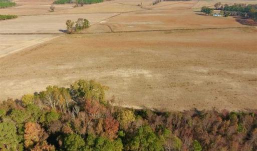 Photo of UNDER CONTRACT!!  38.21 Acres of Farm Land For Sale in Craven County NC!