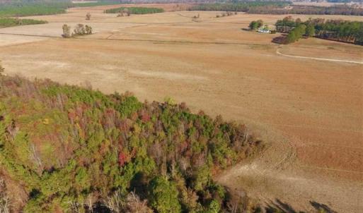 Photo of UNDER CONTRACT!!  38.21 Acres of Farm Land For Sale in Craven County NC!