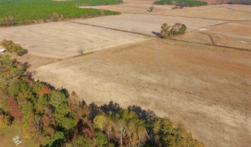 Photo of UNDER CONTRACT!!  38.21 Acres of Farm Land For Sale in Craven County NC!