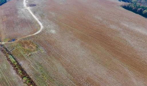 Photo of UNDER CONTRACT!!  38.21 Acres of Farm Land For Sale in Craven County NC!