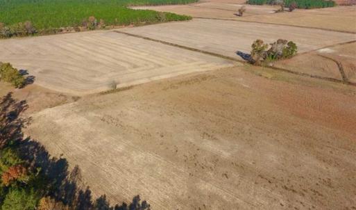 Photo of UNDER CONTRACT!!  38.21 Acres of Farm Land For Sale in Craven County NC!