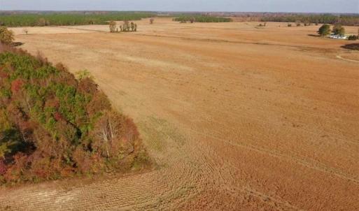 Photo of UNDER CONTRACT!!  38.21 Acres of Farm Land For Sale in Craven County NC!