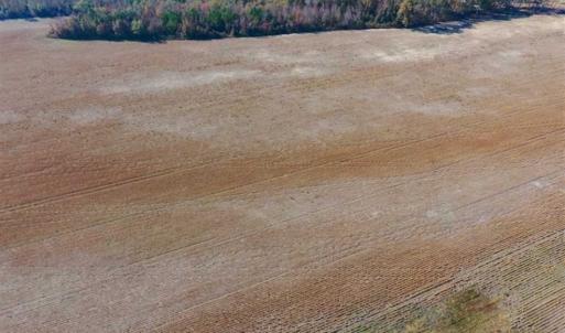 Photo of UNDER CONTRACT!!  38.21 Acres of Farm Land For Sale in Craven County NC!