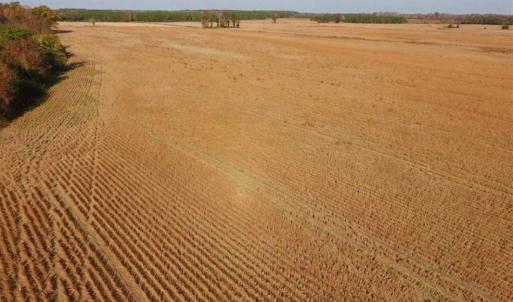Photo of UNDER CONTRACT!!  38.21 Acres of Farm Land For Sale in Craven County NC!