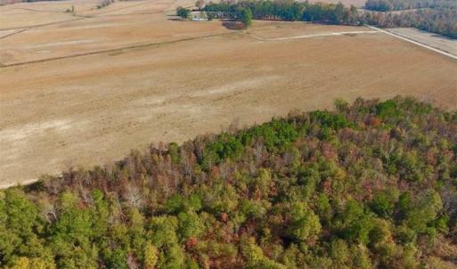 Photo of UNDER CONTRACT!!  38.21 Acres of Farm Land For Sale in Craven County NC!