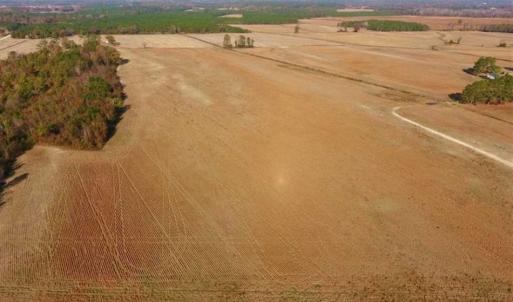 Photo of UNDER CONTRACT!!  38.21 Acres of Farm Land For Sale in Craven County NC!