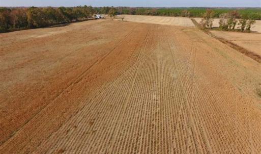 Photo of UNDER CONTRACT!!  38.21 Acres of Farm Land For Sale in Craven County NC!