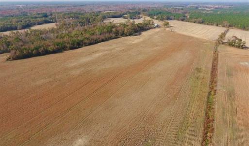 Photo of UNDER CONTRACT!!  38.21 Acres of Farm Land For Sale in Craven County NC!