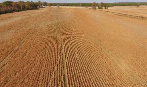 Photo of UNDER CONTRACT!!  38.21 Acres of Farm Land For Sale in Craven County NC!