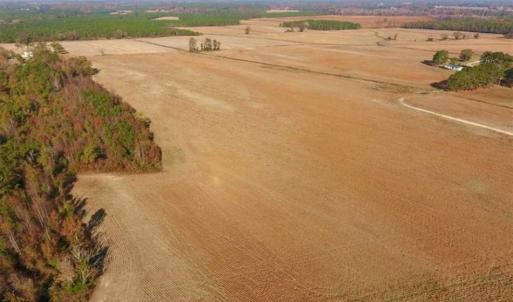 Photo of UNDER CONTRACT!!  38.21 Acres of Farm Land For Sale in Craven County NC!