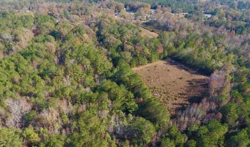 Photo of SOLD!!  27 Acres of Hunting and Timber Land For Sale in Lenoir County NC!