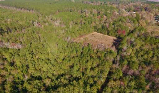 Photo of SOLD!!  27 Acres of Hunting and Timber Land For Sale in Lenoir County NC!