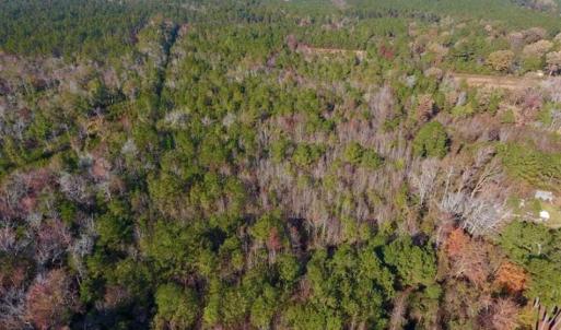 Photo of SOLD!!  27 Acres of Hunting and Timber Land For Sale in Lenoir County NC!