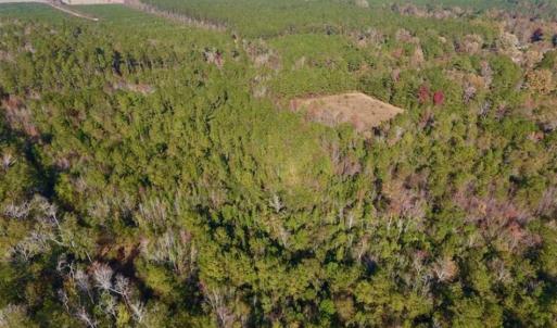 Photo of SOLD!!  27 Acres of Hunting and Timber Land For Sale in Lenoir County NC!