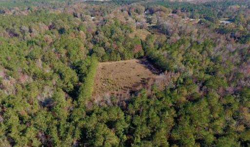 Photo of SOLD!!  27 Acres of Hunting and Timber Land For Sale in Lenoir County NC!