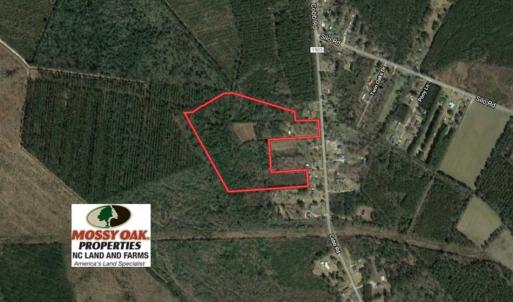Photo of SOLD!!  27 Acres of Hunting and Timber Land For Sale in Lenoir County NC!