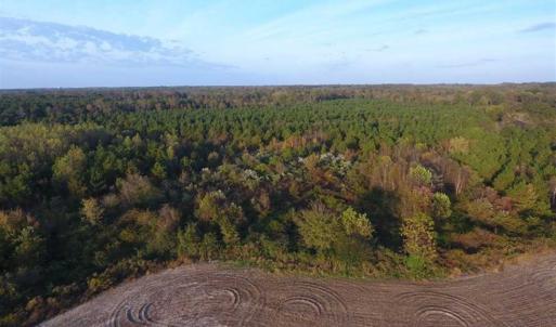 Photo of SOLD!!! 92 Acres of Farm and Residential Land for Sale in Sampson County NC!