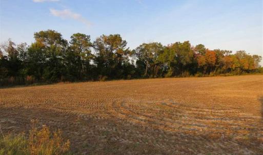 Photo of SOLD!!! 92 Acres of Farm and Residential Land for Sale in Sampson County NC!