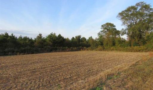 Photo of SOLD!!! 92 Acres of Farm and Residential Land for Sale in Sampson County NC!