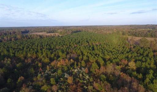 Photo of SOLD!!! 92 Acres of Farm and Residential Land for Sale in Sampson County NC!